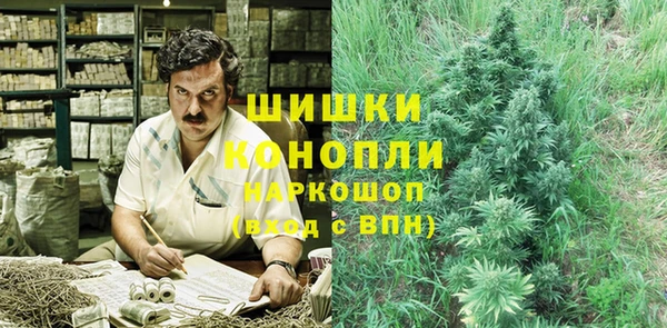 винт Арсеньев