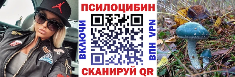 купить закладку  Саяногорск  Галлюциногенные грибы Cubensis 